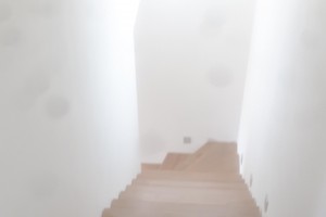 20160730_123036.jpg