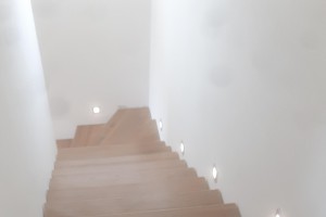 20160730_123146.jpg
