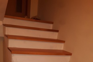 20161207_161447.jpg
