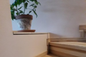 20171213_151306.jpg