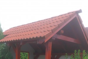 imag0584.jpg